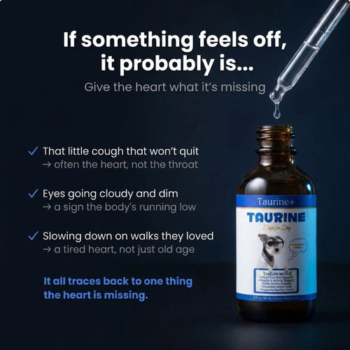 Taurine+ Pure Liquid Taurine Supplement