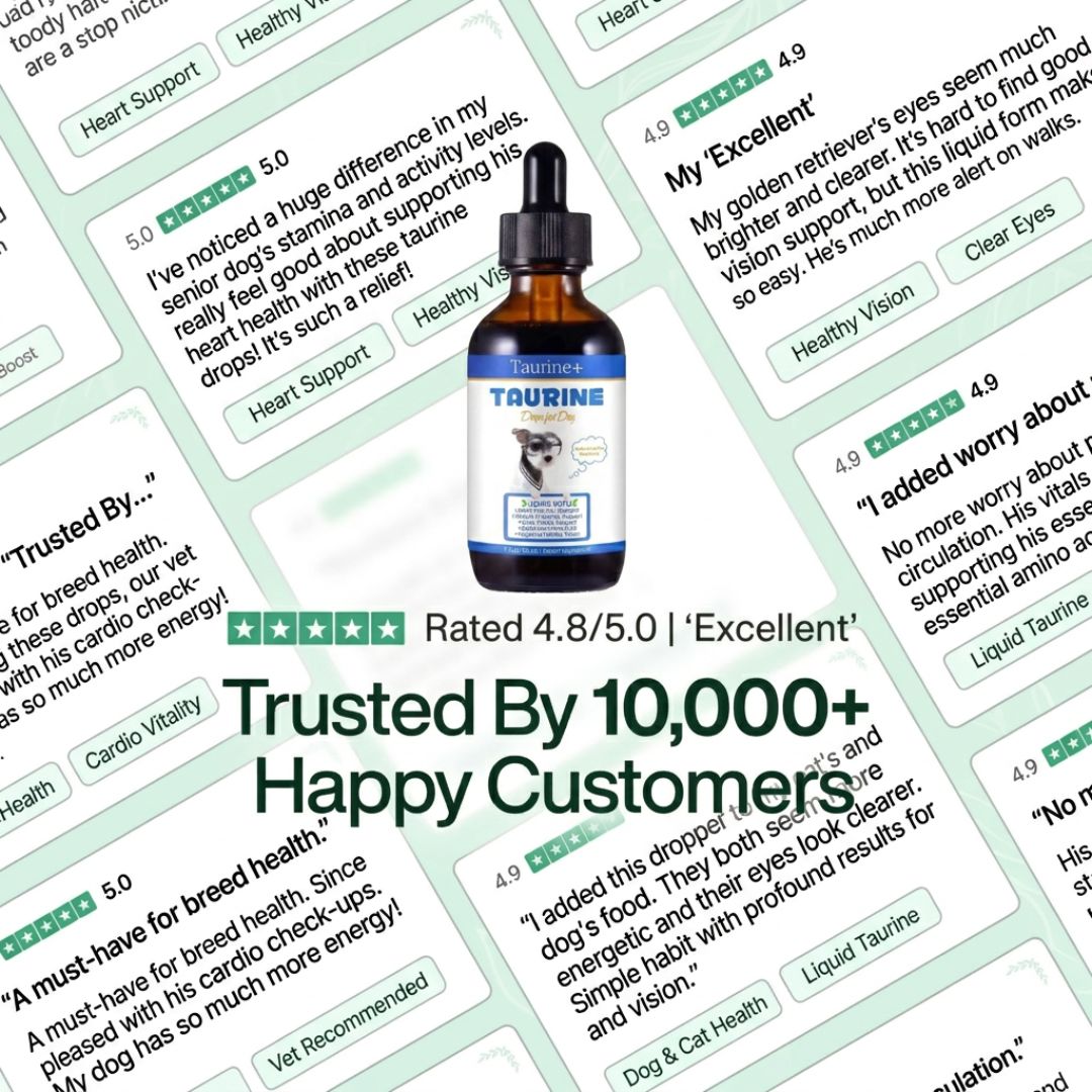 Taurine+ Pure Liquid Taurine Supplement