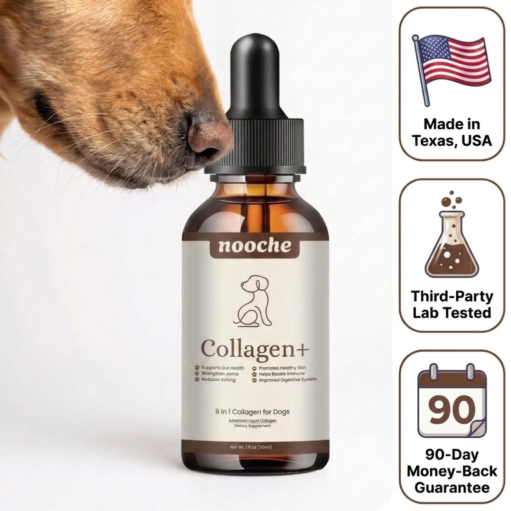 Nooche+ Liquid Collagen