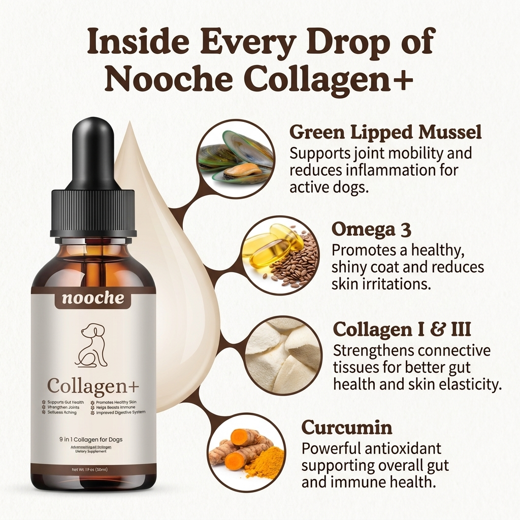 Nooche+ Liquid Collagen