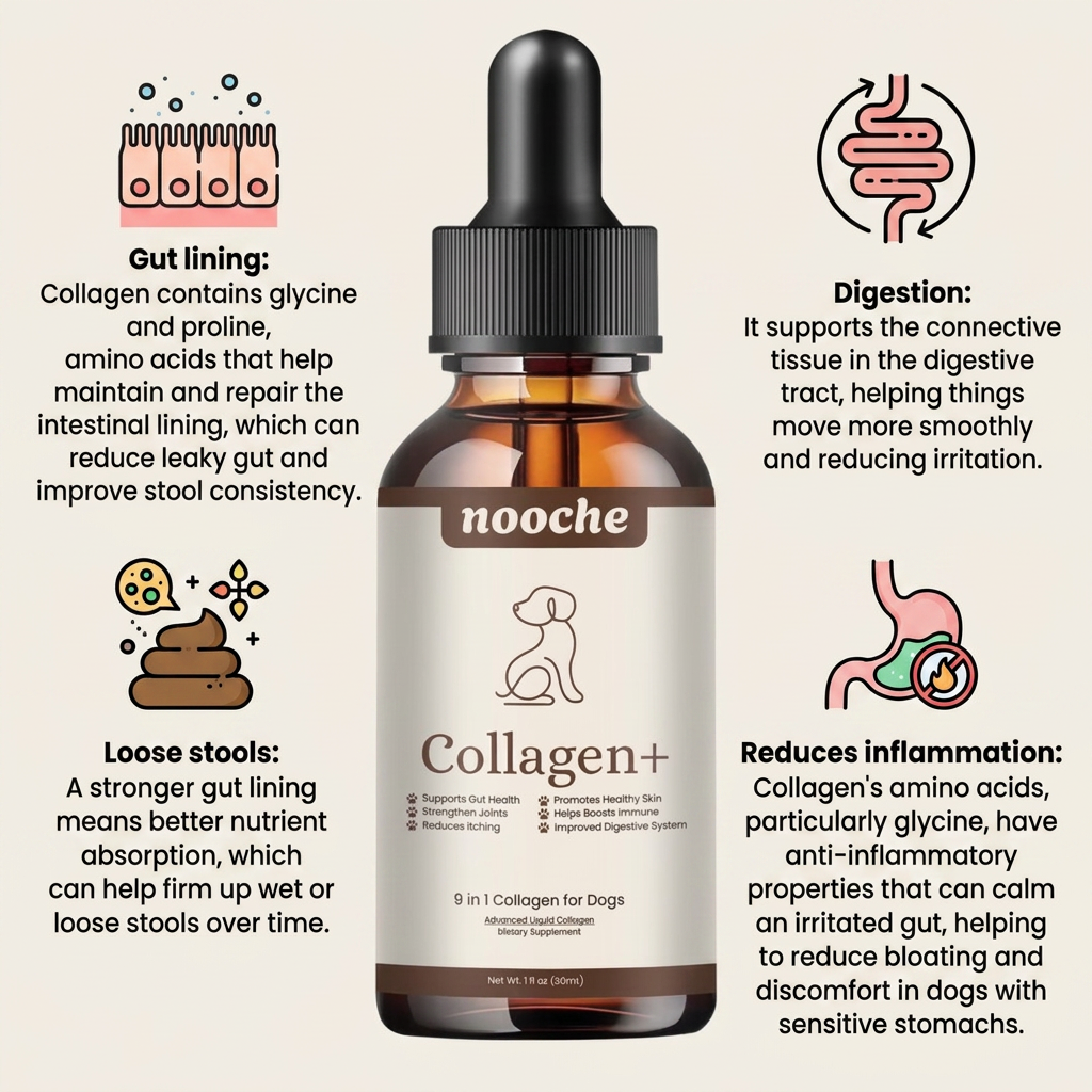 Nooche+ Liquid Collagen